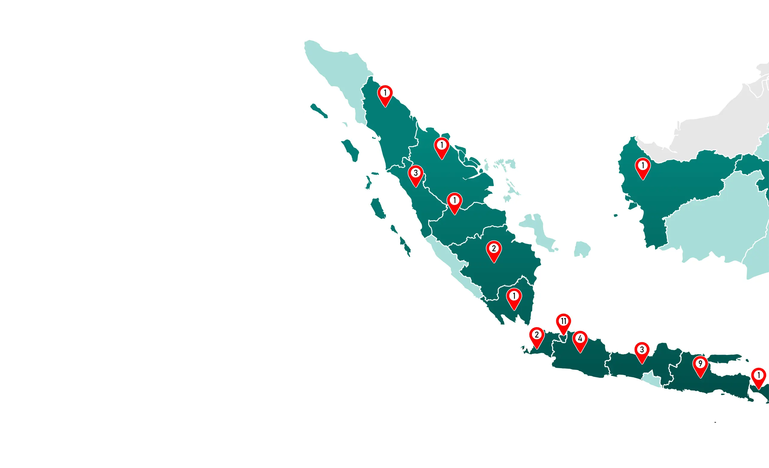 Jaringan Luas